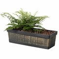 Invernaculo Outdoor & Indoor Rectangle Trough Plastic Planter Box, Vegetables & Flower Planting Pot Brown, Small IN3168191